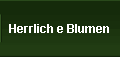 Herrlich e Blumen